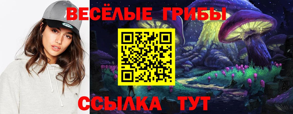 Выборг  Псилоцибиновые грибы MAGIC MUSHROOMS  Вход с VPN 