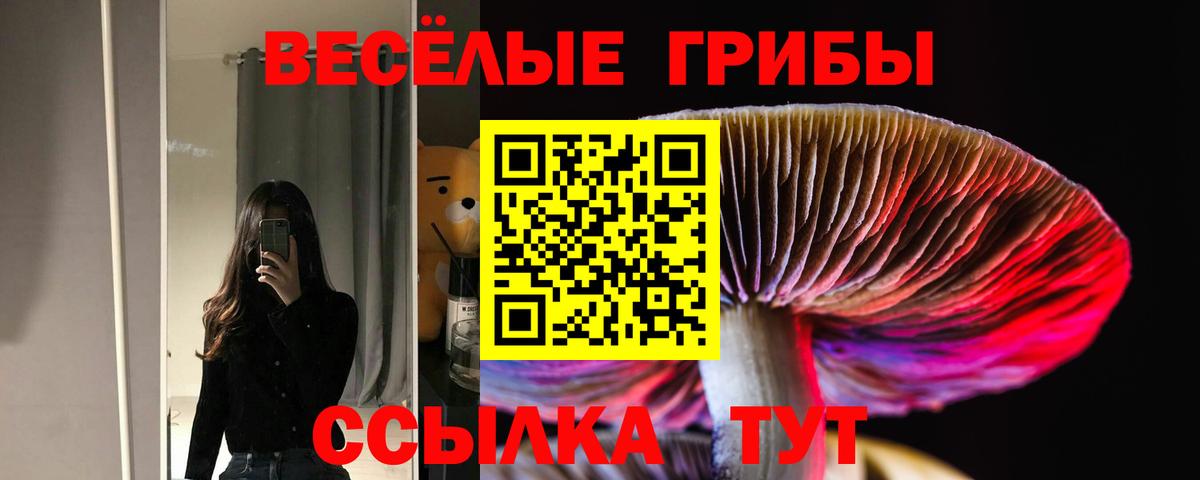 Псилоцибиновые грибы мицелий Выборг